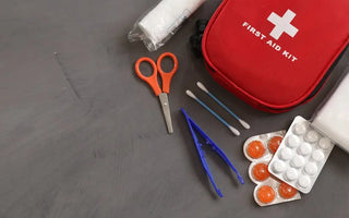 Organizer Pouch: First Aid Travel Setup